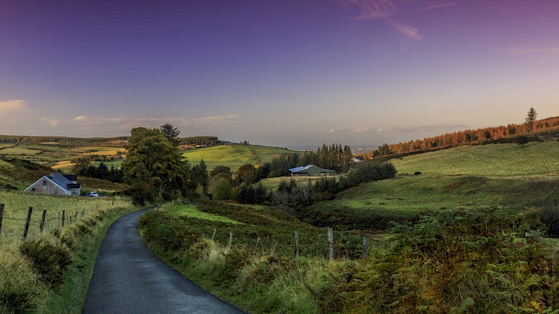 Rural road in Ireland, Co Dublin